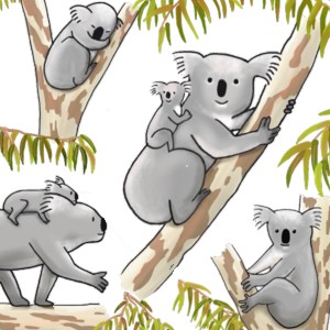 Koalas T-Shirt Design Highlight